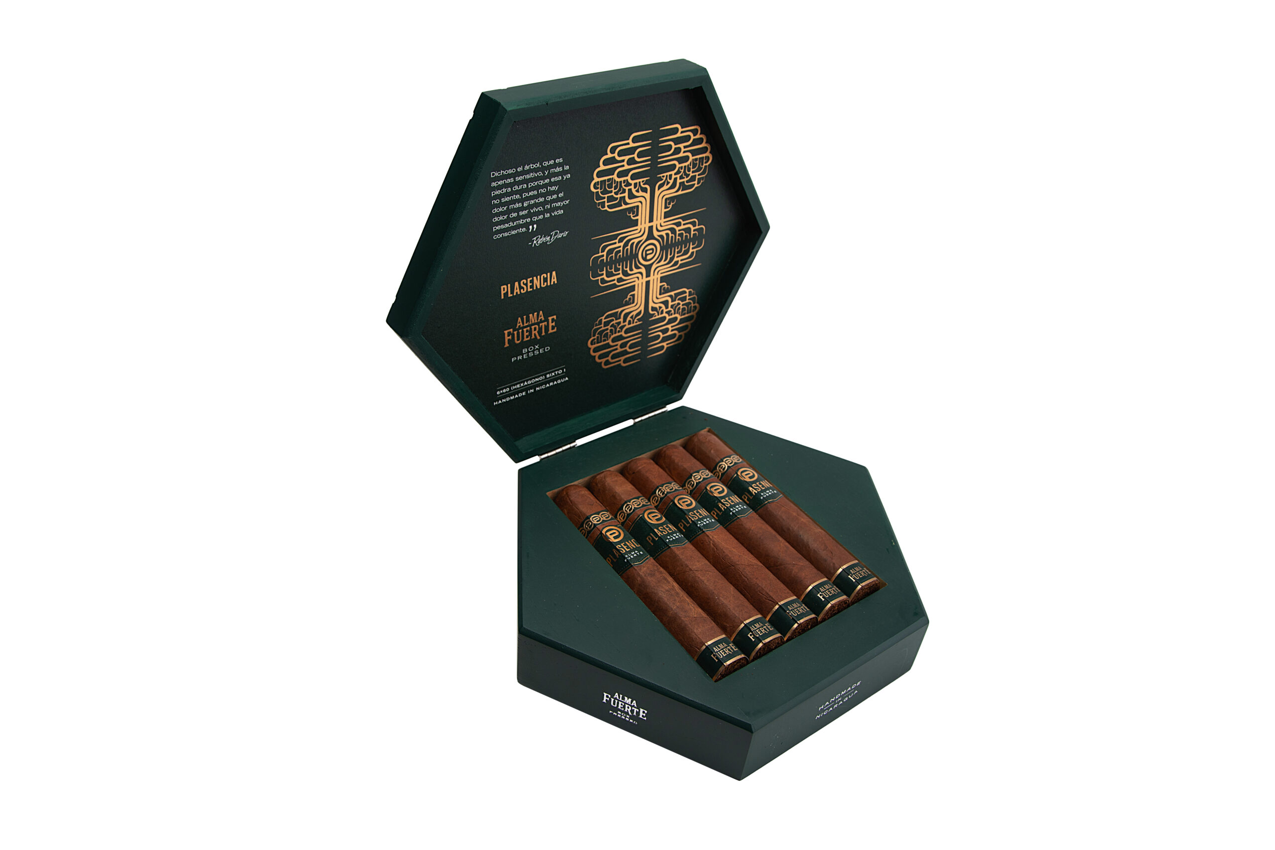 Plasencia 1865 Alma Fuerte Sixto I Box Pressed Natural Hexagono 6 x 60